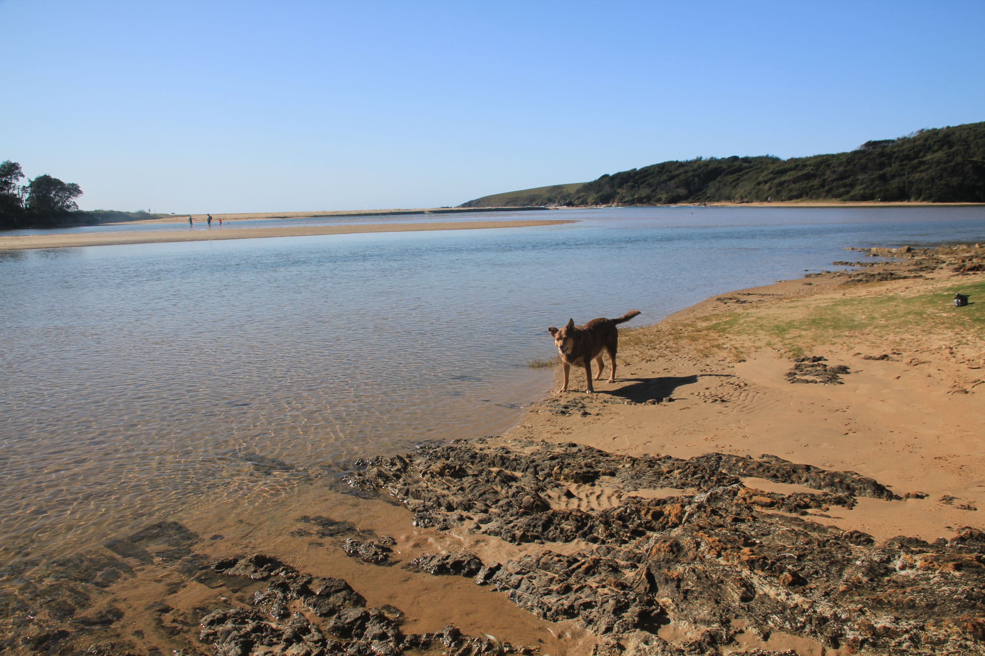 A Quiet Revolution A Quiet Revolution